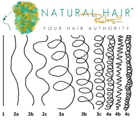 27 best images about Hair Type Chart on Pinterest