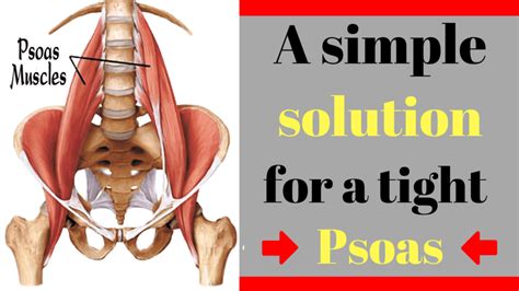 How to Release a Tight Psoas (lliopsoas) : A simple solution for a complex muscle - Fitness 4 ...