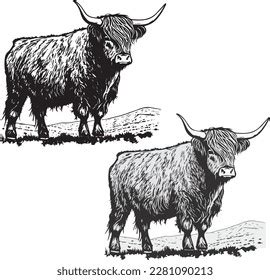 Highland Cow Line Art Greyscale Stock Vector (Royalty Free) 2281090213 | Shutterstock