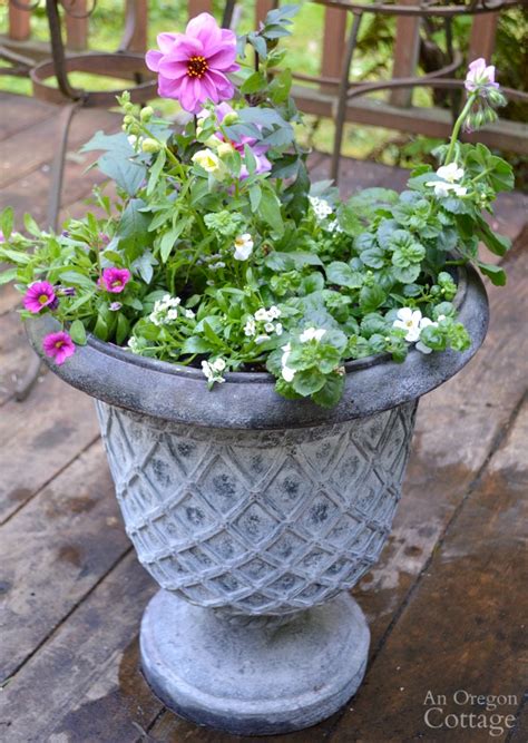 Simple Flower Pot Design for Sun {with Basic Garden Center Plants} | An ...