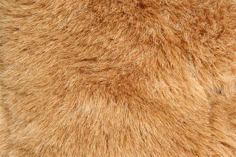 Brown fur background texture — Stock Photo © njnightsky #2060085