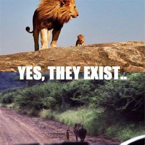 Timon And Pumba Quotes. QuotesGram | Funny lion, Funny disney jokes ...