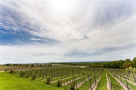 Best Leelanau Peninsula Wineries and Vineyards Guide - Meet Me in Michigan