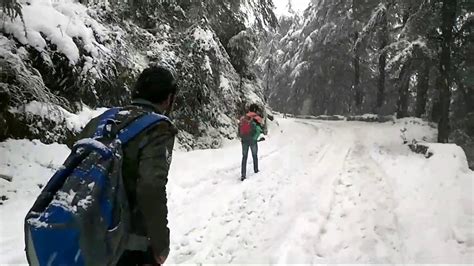 Snowfall At Chail - Himachal Pradesh - YouTube