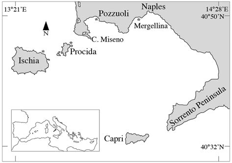 -Map of the Gulf of Naples showing the investigated sites ...