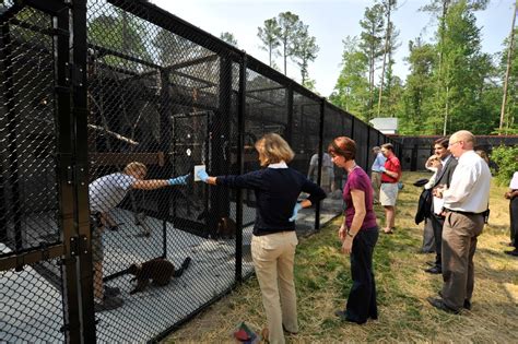 Duke Lemur Center: New Tours at Duke Lemur Center