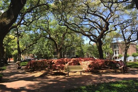 Savannah Historic District Walking Tour 2024