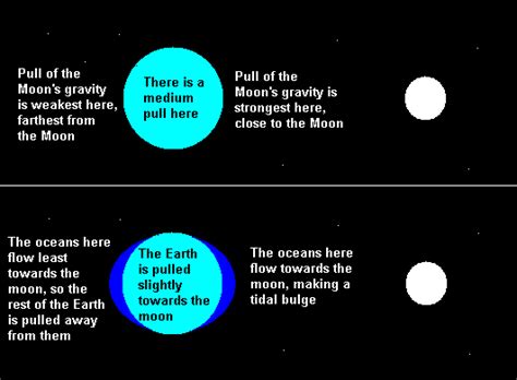 How The Moon S Gravity Affects Earth - The Earth Images Revimage.Org