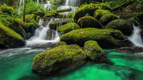 Waterfall in green forest in jungle at Phu Tub Berk mountain,Phetchabun, Thailand | Windows ...