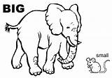 Small And Large Intestine Clip Art Sketch Coloring Page sketch template