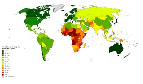 The “Graying” Population and Life Expectancy | Lifespan Development