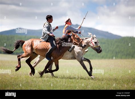 Mongolian child horse racing at Naadam festival in Tsagaannuur, Khövsgöl, Mongolia Stock Photo ...