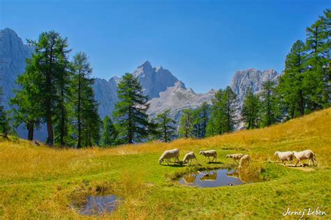 40 Beautiful Photos From Around Slovenia By Jernej Leben