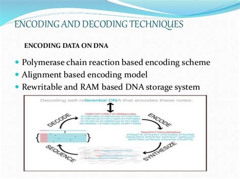 Data Storage in DNA