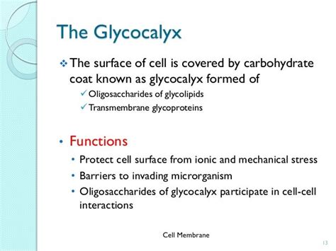 Cell membrane bch405 mic_3