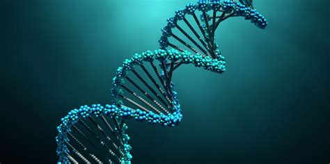 Human Genome Sequenced: Scientists Finally Sequence Entire Genome Muscle Diseases, Brain ...
