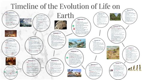 Timeline of the Evolution of Life on Earth by Tiana Anica Bebek on ...