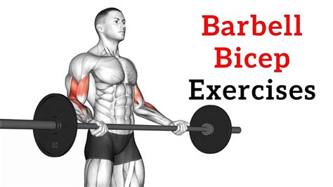 Bicep Barbell Workout (12 Best Barbell Exercises To Build Bicep)