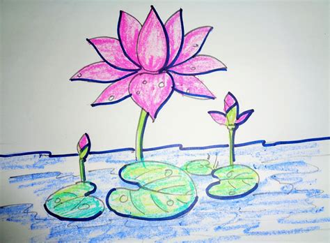 How To Draw Lotus Step By Step - Easy Drawing | Lotus drawing, Lotus flower drawing, Flower drawing