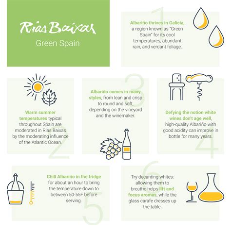 Rias Baixas Albariño Infographics - Wine Enthusiast Partners