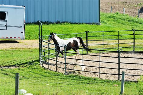 Horse Round Pens: What's the Perfect # of Panels? - Horse Rookie