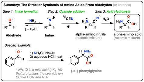 The Strecker Synthesis of Amino Acids – Test | LaptrinhX / News