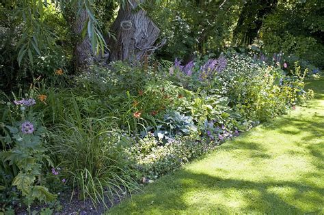 Herbaceous Border Photograph by Sheila Terry | Fine Art America