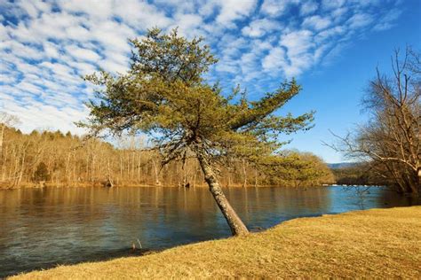 Along the Banks of the Holston River in Bristol Tennessee Stock Photo - Image of outdoors ...