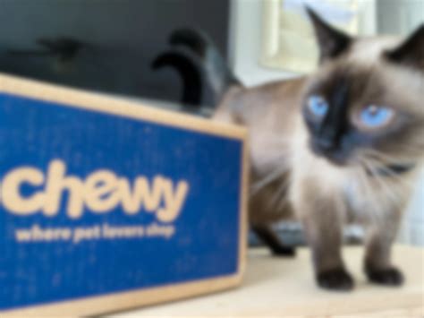 A Chewy Discount Can Be Hard to Come By, But There Are Ways to Save - The Krazy Coupon Lady