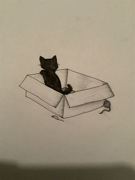 Cat in a box drawing in 2024 | Cat drawing, Sketchbook art inspiration, Drawings