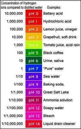 pH meaning in water explained, how to check pH of water