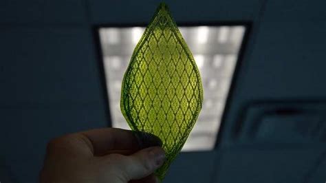 This Artificial Leaf Is 10 times More Efficient Than A Natur