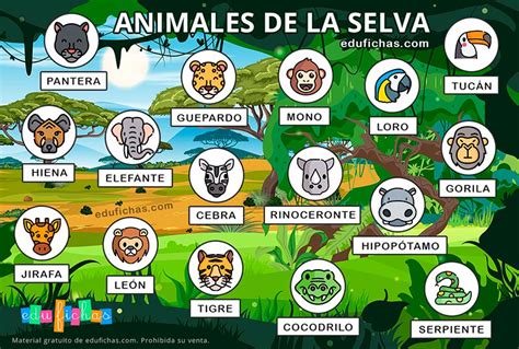 Animales de la Selva para Niños - Fichas, Fotos y Recortables GRATIS