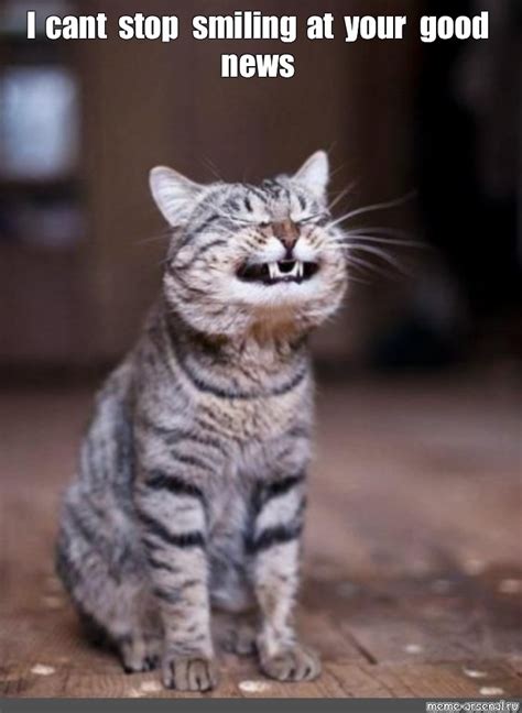 Create meme "happy animals, cat smiling photos, the cat" - Pictures - Meme-arsenal.com