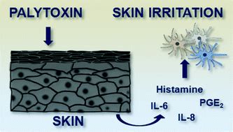 Pro-inflammatory effects of palytoxin: an in vitro study on human ...