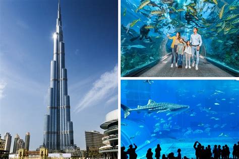 Burj Khalifa, Dubai Aquarium And Underwater Zoo Combo 2023: Triphobo