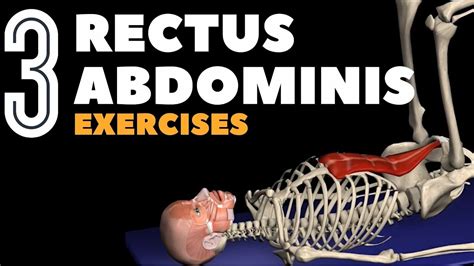 Target Your Rectus Abdominis with 3 Ab Exercises - YouTube