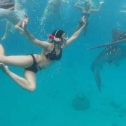 Cebu Whale Shark Swimming & Kawasan Canyoneering Joiner Tour | GetYourGuide