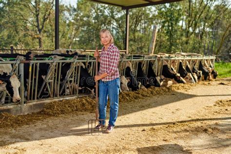 Farmer Woman is Working on Farm with Dairy Cows Stock Photo - Image of ...