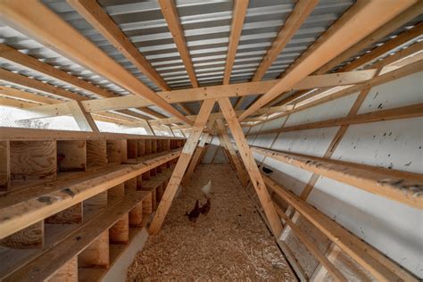 House of Chickens / SO? Architecture and Ideas | ArchDaily