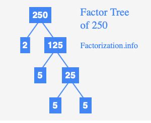 Prime Factors of 250