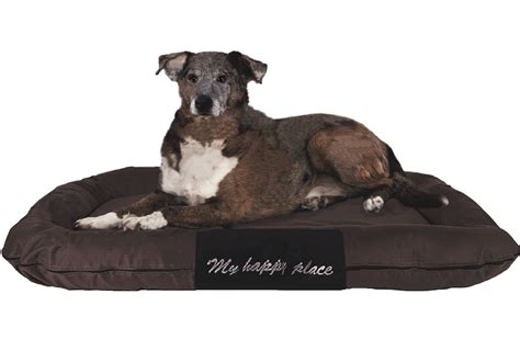 XXL Extra Large Durable Bolster Pet Dog Bed Waterproof Oxford Cover ...