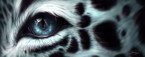 Snow Leopard Eye by Lahvorre on DeviantArt