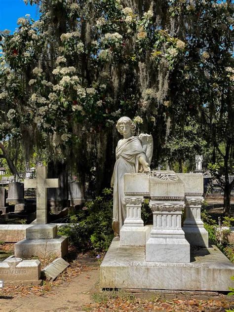 Plan your visit to Bonaventure Cemetery, Savannah - Urbaine City