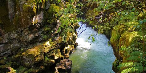 20 Great Fall Hikes in Oregon - Outdoor Project