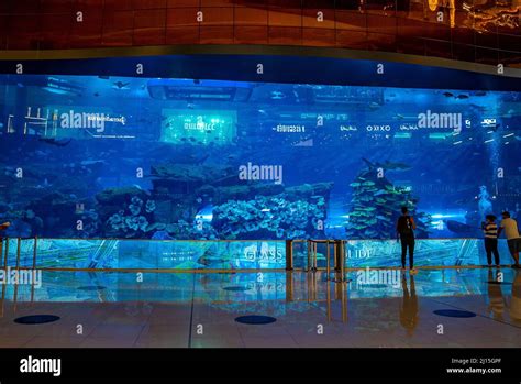 Interior of glass aquarium in worlds largest shopping mall at Dubai Stock Photo - Alamy