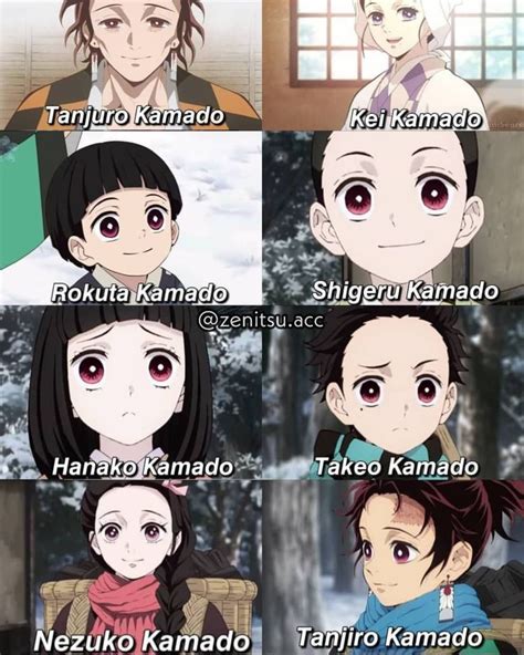 𝖹𝖾𝗇𝗂𝗍𝗌𝗎 𝖠𝗀𝖺𝗍𝗌𝗎𝗆𝖺 on Instagram: “Tanjiro's family • • Credit - me • • Ignore Tags---->…” | Evil ...