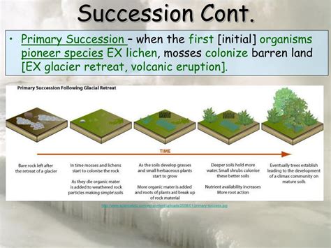 PPT - Ecology PowerPoint Presentation, free download - ID:5690858