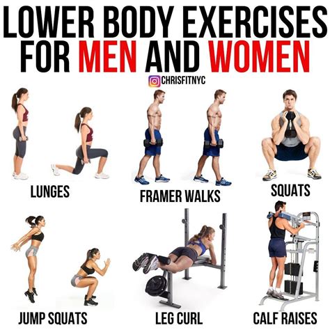 Dumbbell Workouts for Stronger and Leaner Legs