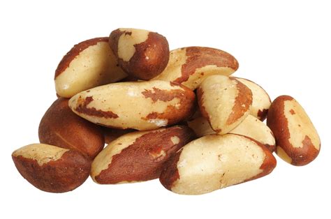 Raw Brazil Nuts Unsalted 1 lb (454 g) | Buy Raw Brazil Nuts | Nutrition Express by PipingRock ...